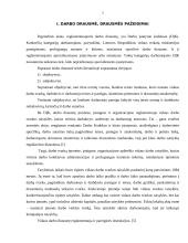 Darbo drausmės užtikrinimo priemonės 3 puslapis
