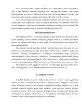 Darbo drausmės užtikrinimo priemonės 6 puslapis
