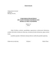 Įmonėse rengiami dokumentai 12 puslapis