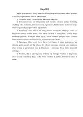 Įmonėse rengiami dokumentai 15 puslapis