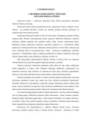 Įmonėse rengiami dokumentai 3 puslapis