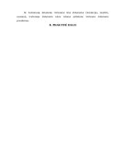 Įmonėse rengiami dokumentai 9 puslapis