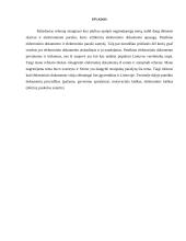 Elektroninis dokumentas 9 puslapis