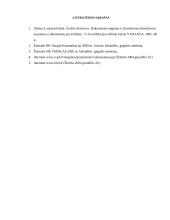 Elektroninis dokumentas 10 puslapis