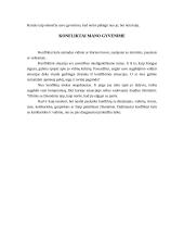 Etika žmogaus gyvenime 12 puslapis