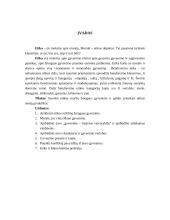 Etika žmogaus gyvenime 3 puslapis