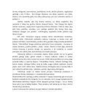 Etika žmogaus gyvenime 7 puslapis