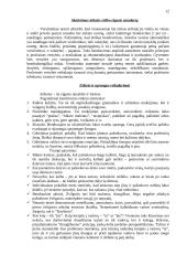 Etikos normų formavimas įmonėse 12 puslapis