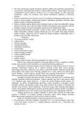 Etikos normų formavimas įmonėse 13 puslapis