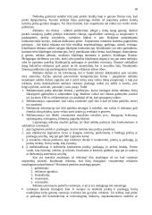 Etikos normų formavimas įmonėse 18 puslapis