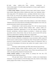 Europos centrinio banko analizė 16 puslapis