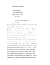 „Naktinis sargybinis“ analizė