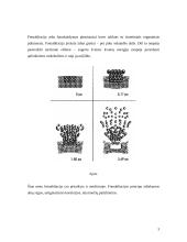 Fotoabliacija 3 puslapis