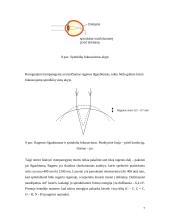 Fotoabliacija 7 puslapis