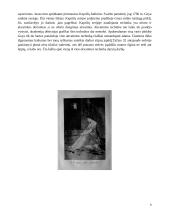 Francisco Goya (Franciskas Goja) 6 puslapis