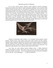 Francisco Goya (Franciskas Goja) 9 puslapis