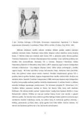 Grafika ir dailė 4 puslapis