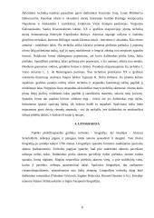 Grafika ir dailė 7 puslapis