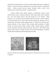 Grafika ir dailė 9 puslapis