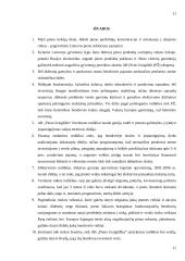 Įmonės investicinis patrauklumas: AB "Pieno žvaigždės" 11 puslapis
