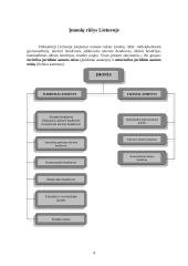 Įmonės Lietuvoje. Jų rūšys, tikslai, finansavimo šaltiniai 4 puslapis