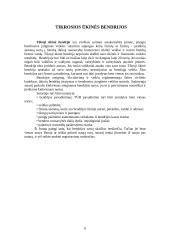 Įmonės Lietuvoje. Jų rūšys, tikslai, finansavimo šaltiniai 6 puslapis