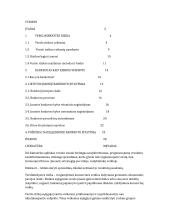 Bankrotas kaip rizikos veiksnys