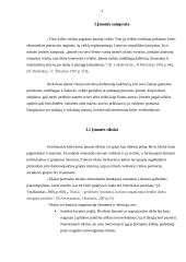 Įmonės veiklos tikslai: UAB "Maxima LT" 3 puslapis
