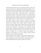 Individualios apsaugos priemonės 2 puslapis