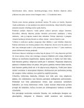 Individualios apsaugos priemonės 11 puslapis