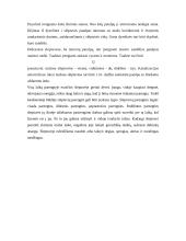 Individualios apsaugos priemonės 13 puslapis