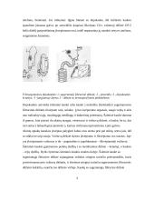 Individualios apsaugos priemonės 4 puslapis