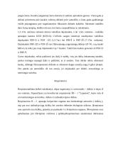 Individualios apsaugos priemonės 5 puslapis