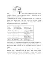 Individualios apsaugos priemonės 6 puslapis