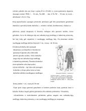 Individualios apsaugos priemonės 8 puslapis