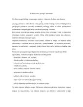 Individualios apsaugos priemonės 9 puslapis