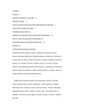 Biudžeto balansavimas