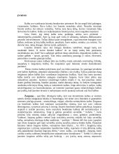 Jaunimo žargonai 3 puslapis