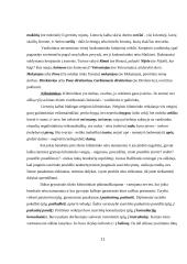 Kalbos kultūra ir raštvedyba 11 puslapis