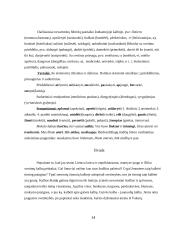 Kalbos kultūra ir raštvedyba 14 puslapis