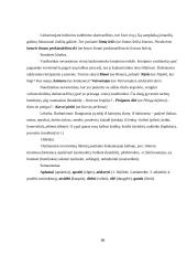 Kalbos kultūra ir raštvedyba 16 puslapis