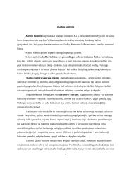 Kalbos kultūra ir raštvedyba 4 puslapis