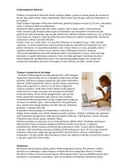 Kompiuterių įtaka žmogaus sveikatai 4 puslapis