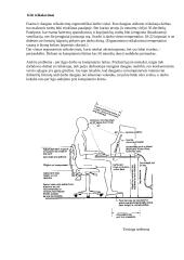 Kompiuterių įtaka žmogaus sveikatai 6 puslapis