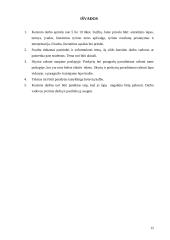 Kursinis darbas 11 puslapis