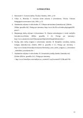 Kursinis darbas 12 puslapis