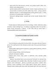 Kursinis darbas 6 puslapis