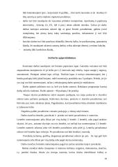 Kursinis darbas 9 puslapis