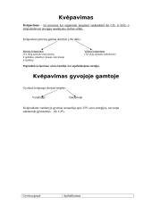 Kvėpavimas ir kvėpavimo procesas