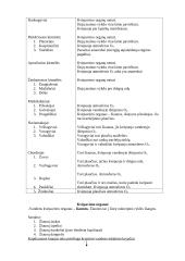 Kvėpavimas ir kvėpavimo procesas 2 puslapis